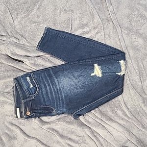 Daytrip Skinny Jean